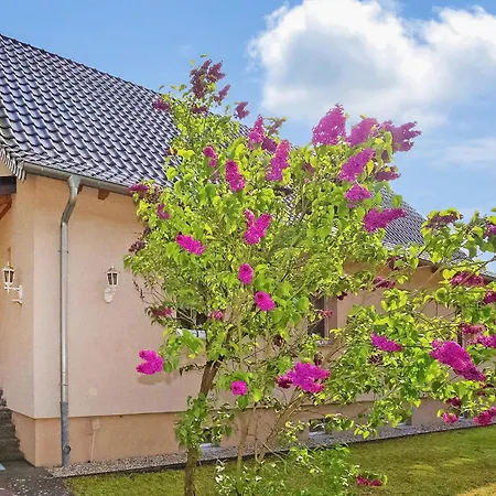 Apartment Ferienwohnung Torgelow
